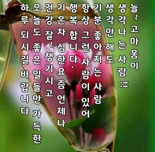 늘 고마움이 생각나는 사람