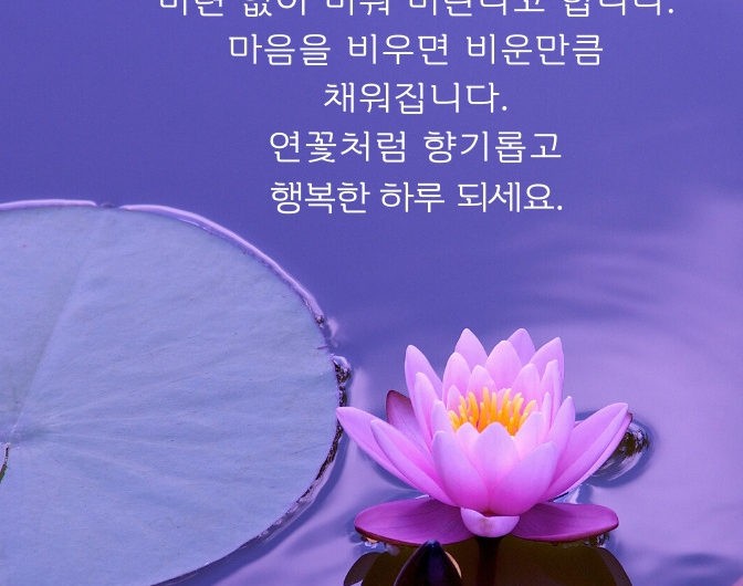 연꽃처럼 향기롭고 행복한 하루 되세요