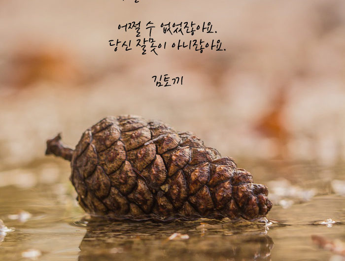 너무 신경 쓰지 마세요