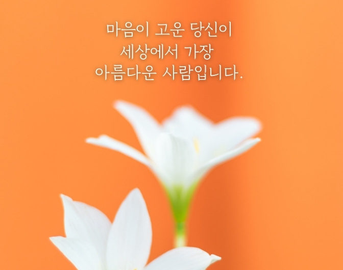 마음이 고운 당신