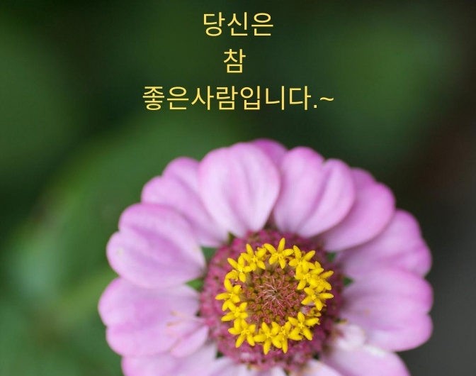 변함이 없는 사람